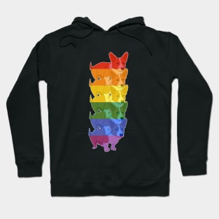 Stack of Corgi Rainbow Hoodie